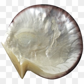 Mother Of Pearl Png - Mother Of Pearl Shell Plate, Transparent Png - pearl png