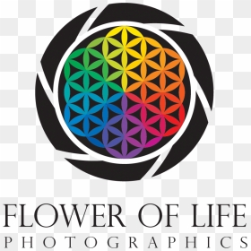 Flower Of Life Logos , Png Download - Flower Of Life Logo, Transparent Png - flower of life png