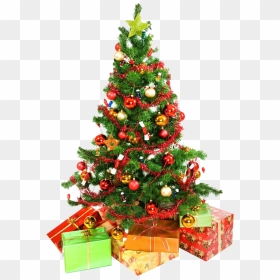 Christmas Tree Presents Underneath Png Image - Christmas Tree High Resolution, Transparent Png - presents png