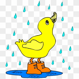 Duck In The Rain Clip Art At Clker - Duck In The Rain Clipart, HD Png Download - puddle png