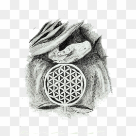 The Flower Of Life - Flower Of Life Sketch, HD Png Download - flower of life png
