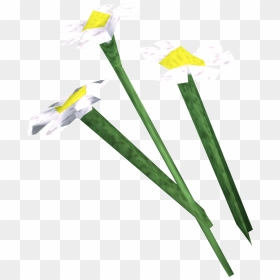 The Runescape Wiki - Runescape White Flower, HD Png Download - white flower png