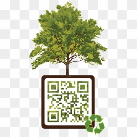 Qr Code Png, Transparent Png - qr code png