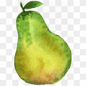 Pear Png High-quality Image - Pear Watercolor, Transparent Png - pear png