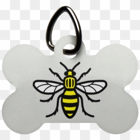 Manchester Bee Dog Bone Pet Tag - Manchester Bee Vector Download, HD Png Download - dog bone png