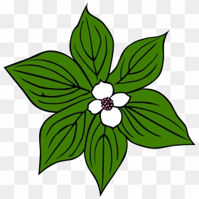 Green Plant With White Flower Svg Clip Arts - Tropical Rainforest Plants Drawing, HD Png Download - white flower png