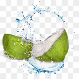 Coconut Water Splash Png Transparent Image - Coconut Water Benefits In Urdu, Png Download - watercolor splash png