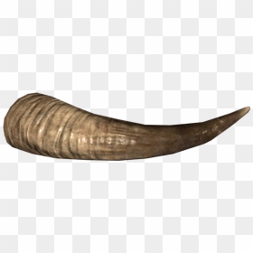 Minotaur Horn, HD Png Download - horns png
