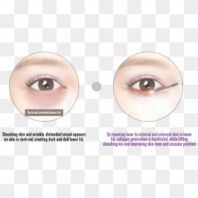 Transparent Laser Eyes Png - Close-up, Png Download - laser eyes png