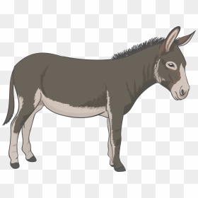 Donkey Vector Png Download - Donkey Png, Transparent Png - donkey png