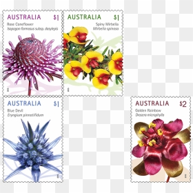 Wild Flowers Png - Postage Stamps Australia 2020, Transparent Png - purple flowers png