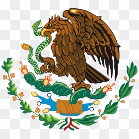 Transparent Bandera Mexicana Png - Escudo De La Bandera De Mexico Actual, Png Download - mexican flag png