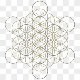 Flower Of Life Tattoo, HD Png Download - flower of life png