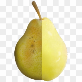 Pear Download Icon - Asian Pear, HD Png Download - pear png