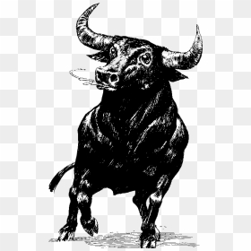 Bull Transparent Png - Bull Transparent, Png Download - bull png