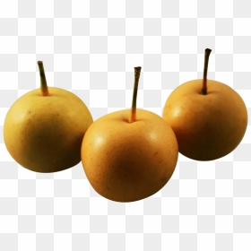 Free Png Asian Nashi Pear Png - Asian Pear Png, Transparent Png - pear png