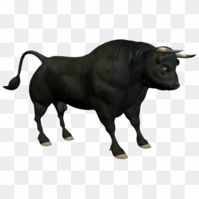 Bull Png Photo - Bull Png, Transparent Png - bull png