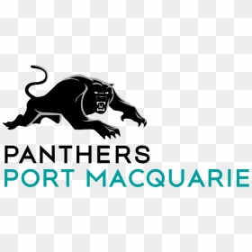 Panther Logo Png - Panthers Port Macquarie Logo, Transparent Png - panthers logo png