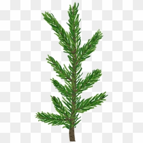 Pine Needle Png Jpg Library Download - Pine Tree Leaf Transparent, Png Download - needle png