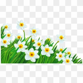 Spring Grass With Flowers Png Transparent Background - Transparent Background Spring Flowers Clipart, Png Download - spring flowers png