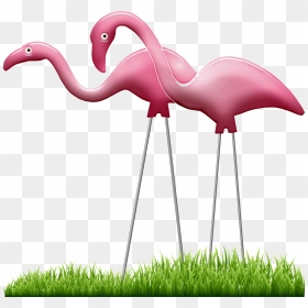 Public Domain Lawn Plastic Flamingo, HD Png Download - ornamental grass png