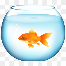 Goldfish Png, Download Png Image With Transparent Background,, Png Download - goldfish png