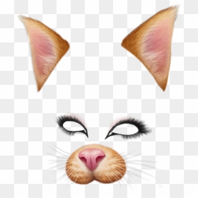 Dog Snapchat Filter Png, Transparent Png - cat face png
