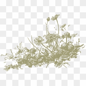 S, Display, Wildflowers, Png V - Wildflowers Clipart Free, Transparent Png - spring flowers png