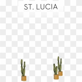 Snapchat Filters , Png Download - San Pedro Cactus, Transparent Png - snapchat filters png