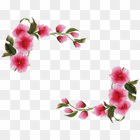 Transparent Background Floral Border, HD Png Download - pink flowers png