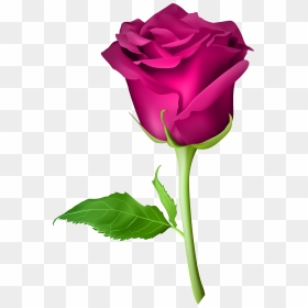 Pink Rose Flower Png Clipart , Png Download - Transparent Background Purple Rose Png, Png Download - pink flowers png