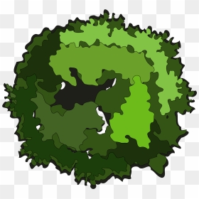 Tree Top View Clipart - Tree Clipart Top View, HD Png Download - tree plan png