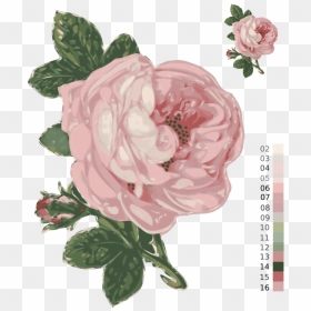 Pink,plant,flower - Transparent Background Vintage Flower Png, Png Download - pink flowers png