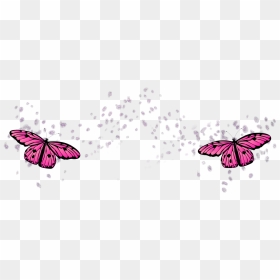 #blush #freckles #pink #butterflys #butterfly #glitter - Earrings, HD Png Download - freckles png