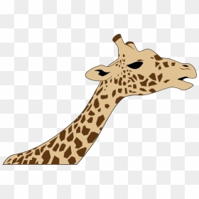 Giraffe Head - Giraffe Clipart Neck, HD Png Download - head png