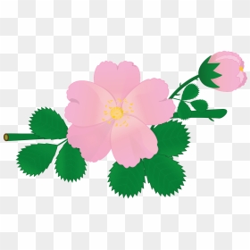 Animasi Bunga Mawar Pink, HD Png Download - pink flowers png