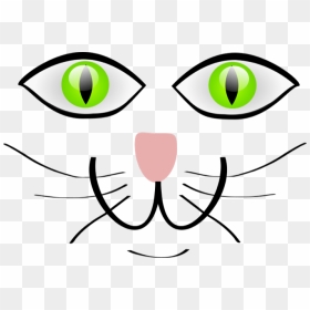 Kitty Clipart Big Cat - Whiskers Clip Art, HD Png Download - cat face png