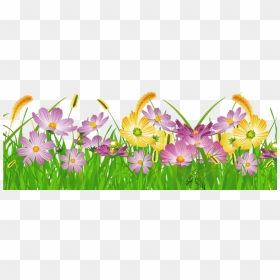 Grass Clipart No Background Google Search Borders And - Flowers Clip Art Transparent, HD Png Download - grass flower png