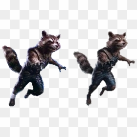 Hd Rocket Raccoon Png - Rocket Raccoon Png, Transparent Png - raccoon png