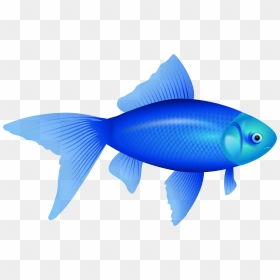 Fish Clipart No Background, HD Png Download - goldfish png