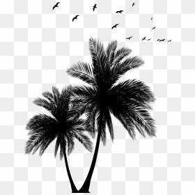 Palms Png , Png Download - Palm Tree Sun Set Black And White Vector, Transparent Png - palms png