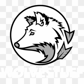 Full Size Of To Draw A Wolf Head Easy How Chibi Tattoos - Wolf Drawings Easy Wolf Heads, HD Png Download - wolf head png