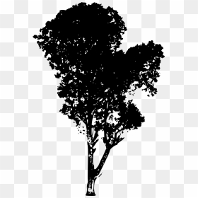 Tree-silhouette - Transparent Background Silhouette Trees Png, Png Download - forest silhouette png