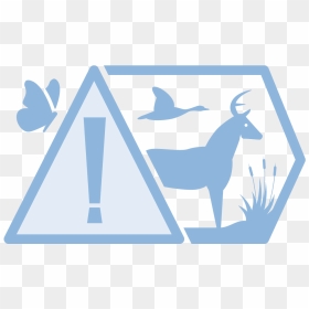 Transparent Soil Clipart - Threats To Biodiversity Png, Png Download - loss.png