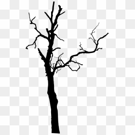 Dead Tree Silhouette Png, Transparent Png - forest silhouette png
