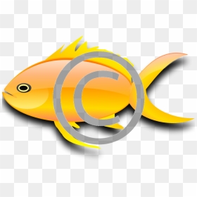 Gold Fish Clip Art , Png Download - Gold Fish Clip Art, Transparent Png - goldfish png