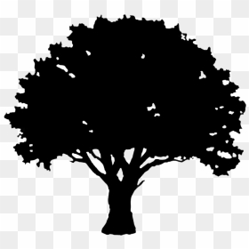 Tree Clipart Silhouette Image Black And White Silhouette - Silhouette Black Tree Vector, HD Png Download - forest silhouette png