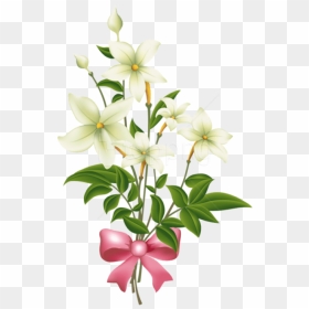 Free Png Download White Flowers With Pink Bow Png Images - Pink Jasmine Flower Clipart, Transparent Png - white flowers png