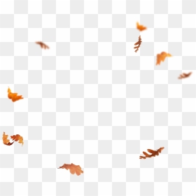 Falling Leaves Png - Autumn Leaves Falling Png, Transparent Png - fall leaf png