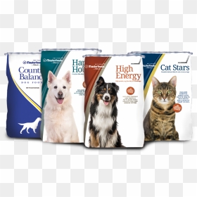 Masterfeeds Pet Food Bags - Happy Hounds Dog Food, HD Png Download - dog filter png